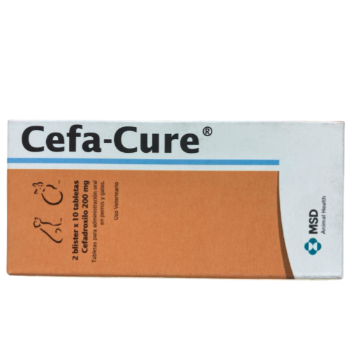 CEFA CURE X UND
