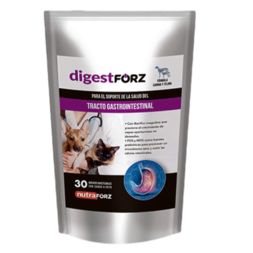DIGESTFORZ X 30 TAB