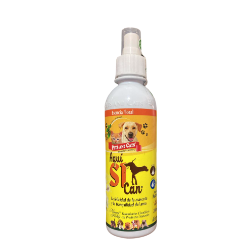 ESENCIA AQUI SI- AQUI CAN X 240ML