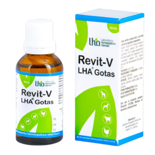 REVIT- V GOTAS