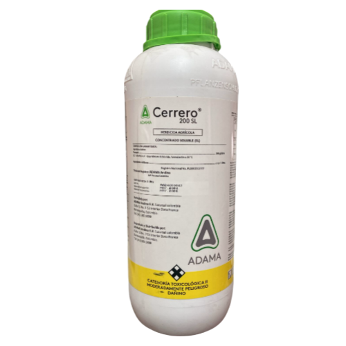 CERRERO 200 SL X 1000 C.C. (paracuac)