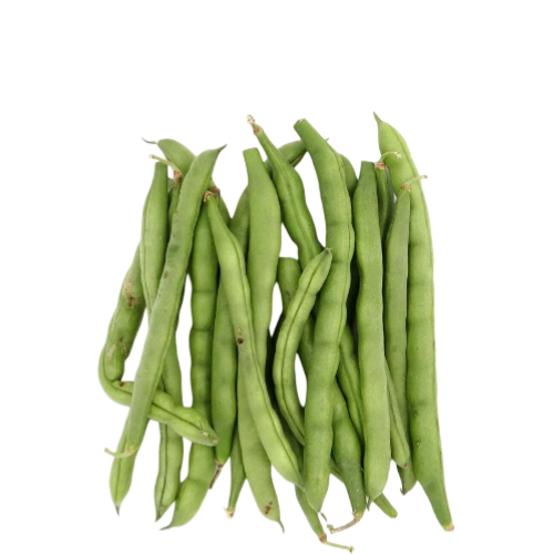 HABICHUELA X 100G