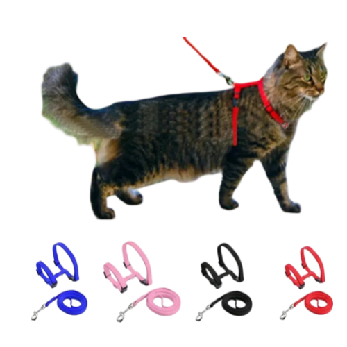 PECHERA Y TRAILLA PARA GATO