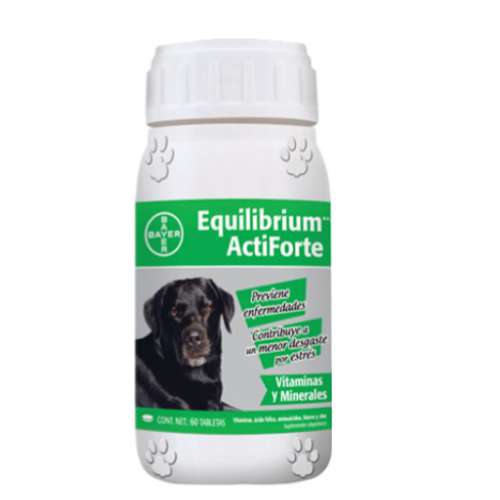 EQUILIBRIUM ACTIFORTE X 60 TAB.