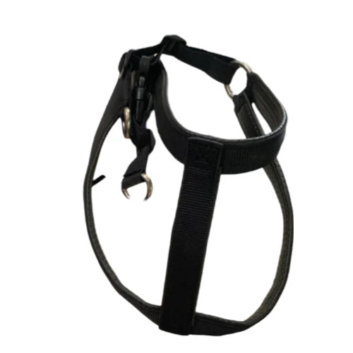 PECHERA ARNES REATA - S