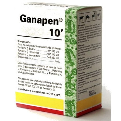 GANAPEN X 10"