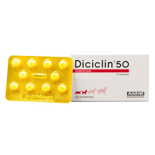 DICICLIN 50 MG PRECIO X PASTA