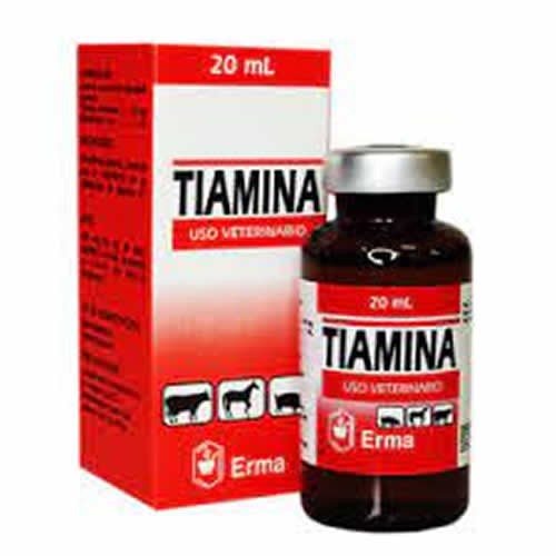 TIAMINA X 20 ML