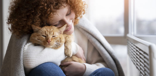 Cuidados Esenciales para Mantener a tu Gato Saludable y Feliz en Casa