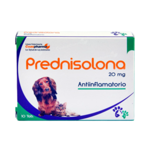 PREDNISOLONA X UNA TABLETA