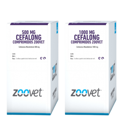 CEFALONG 1000 MG X PASTA
