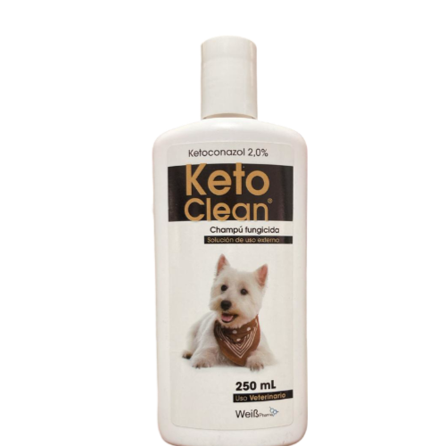 KETOCLEAN CHAMPU X 250 ML