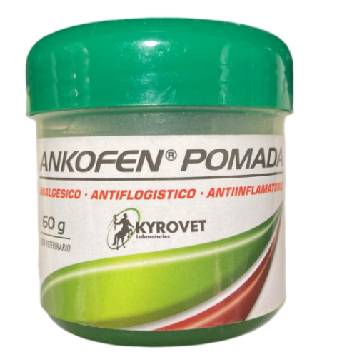 ANKOFEN POMADA X60GRS