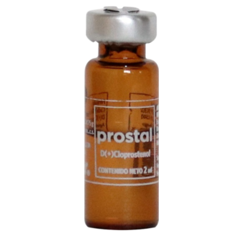 PROSTAL X 2 ML