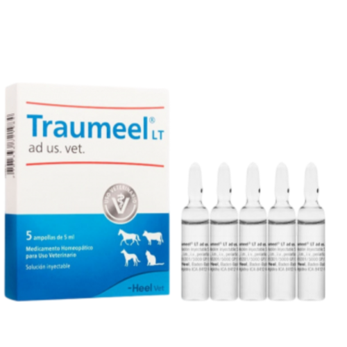 TRAUMEEL AMPOLLAS X 5 ML