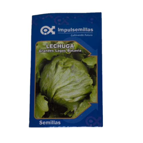 LECHUGA BATAVIA X 5 GR