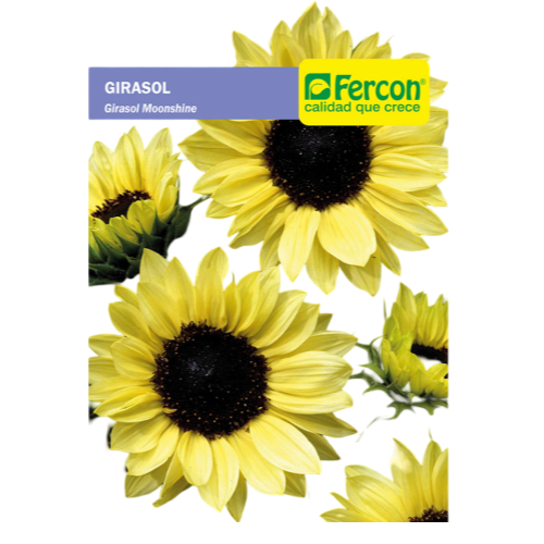 GIRASOL AMARRILLO X 5GM