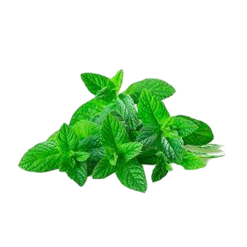 HIERBABUENA X 0.5 GR