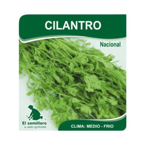 CILANTRO X 400 GR