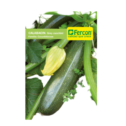 CALABACIN