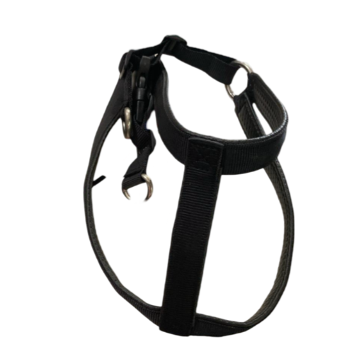 PECHERA ARNES REATA - M