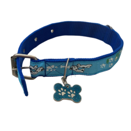 COLLAR  COLORES Y DIJE  (52CM LARGO)   2020