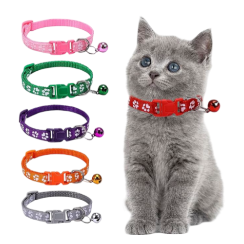 COLLAR PARA GATO  81  (534)