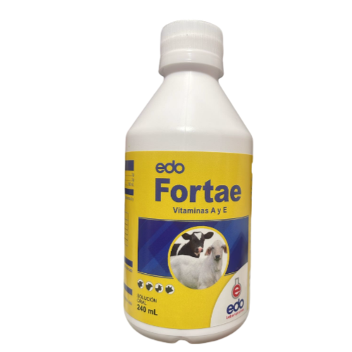 EDO FORTAE X 240 ML