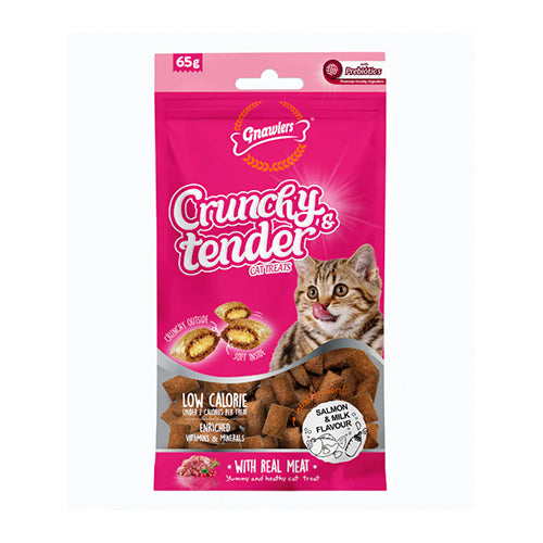 CRUNCHY & TENDER TASTY SALMON 65GR
