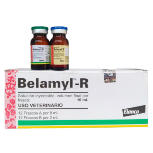 BELAMYL-R X 10 ML