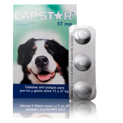 CAPSTAR 11-57 MG X PASTA