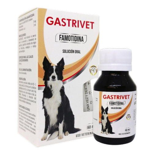 GASTRIVET X 60 ML