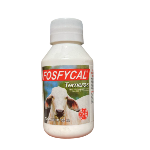 FOSFYCAL TERNEROS X 120ML