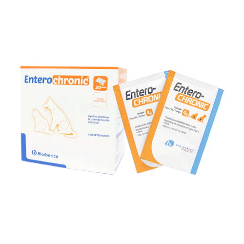 ENTERO CHRONIC PRECIO X SOBRE DE  4 GRAMOS