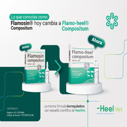 FLAMOSIN AMP  5ML PRECIO X UNIDAD