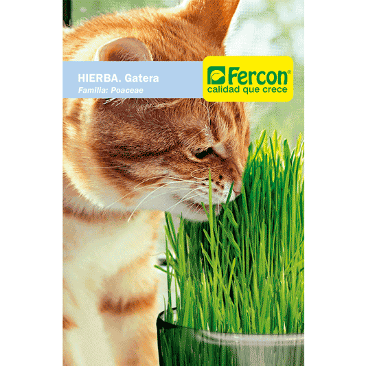 HIERBA GATERA