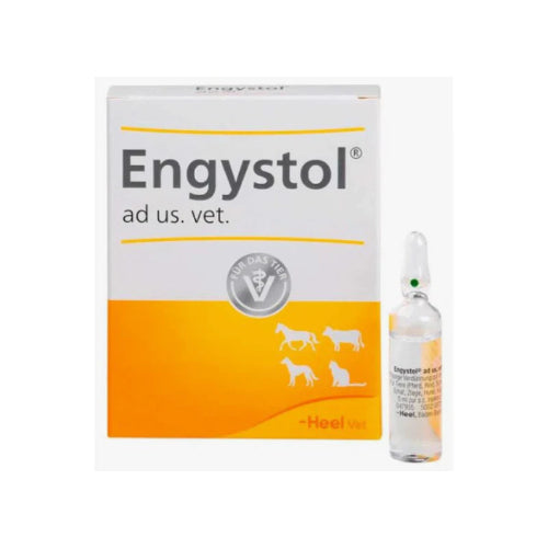 ENGYSTOL AMPOLLA X 5 ML  PRECIO X UNIDAD