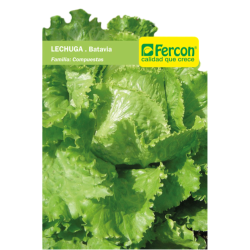 LECHUGA GREAT I.AKES BATAVIA SGA X 5 GR.