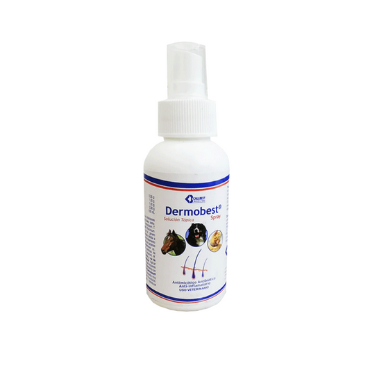 DERMOBEST SPRAY * 120 ML