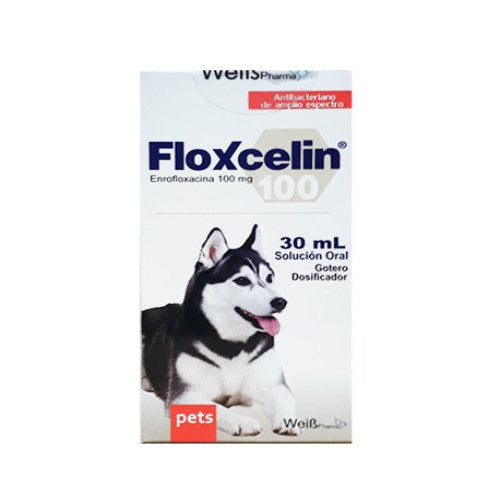 FLOXCELIN ORAL PETS X 30 ML