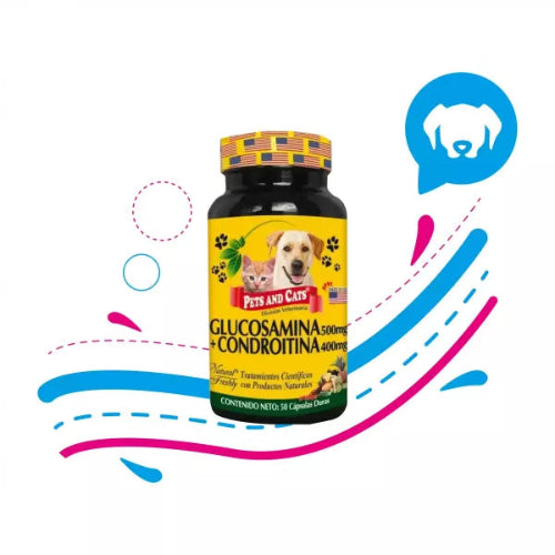 GLUCOSAMINA + CONDROITINA X CAPSULA