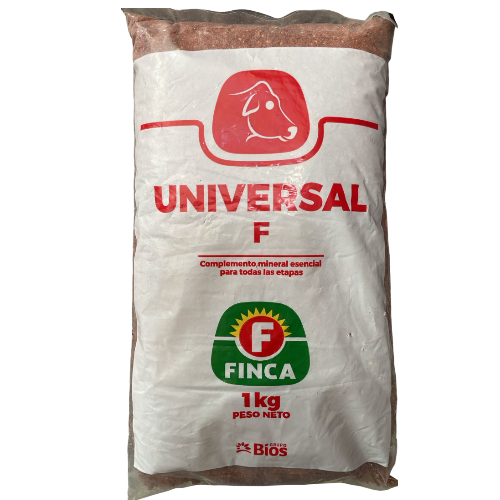 FINCA SAL X K