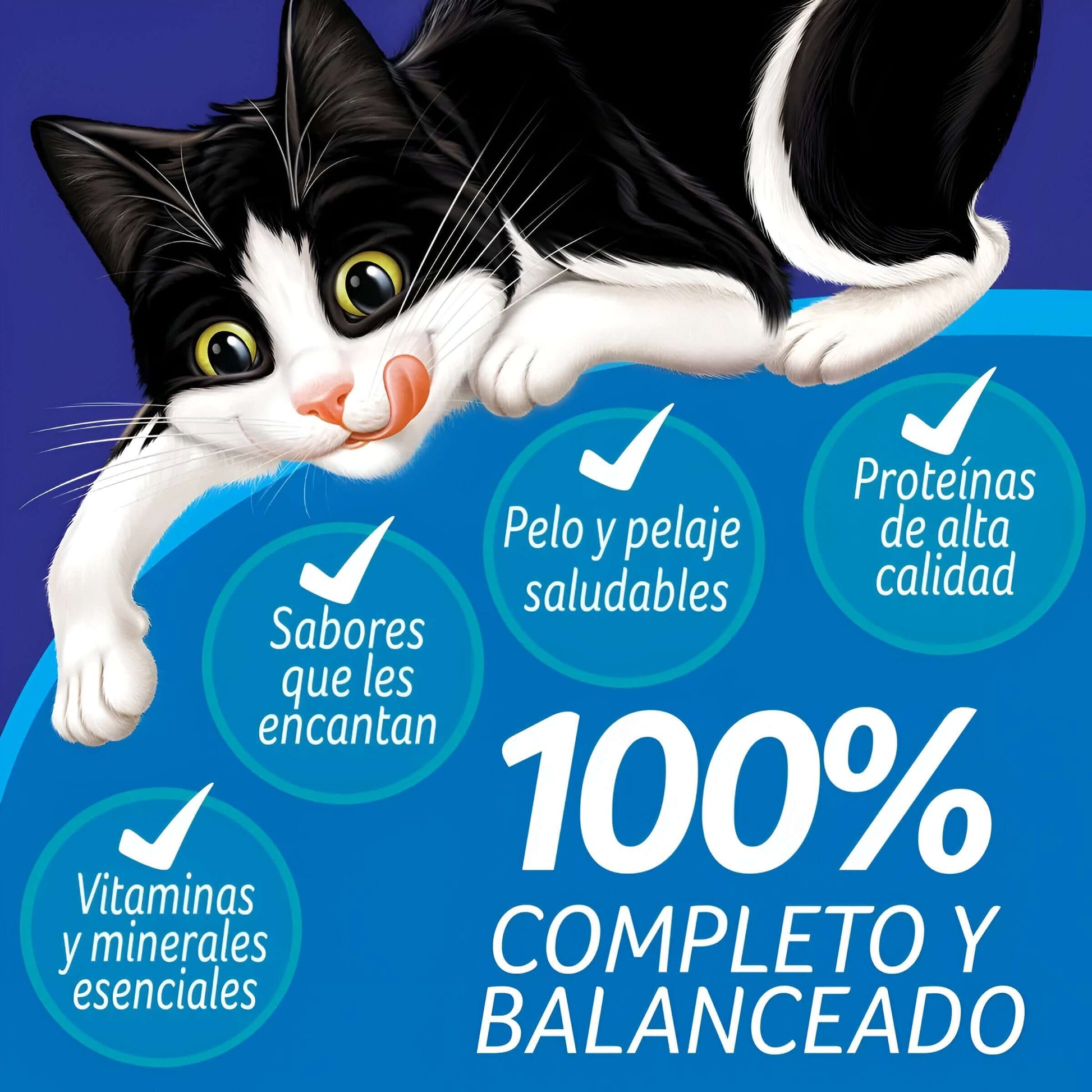 Gato negro y blanco jugando, destacando beneficios de comida completa y balanceada para gatitos, como proteínas y vitaminas.