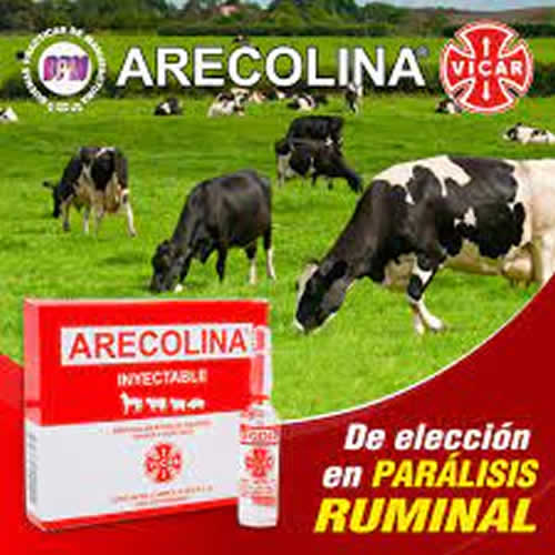 ARECOLINA X 5 CC