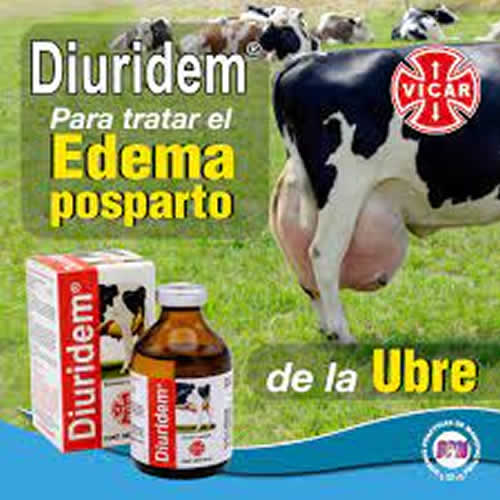 DIURIDEM X 20 CC