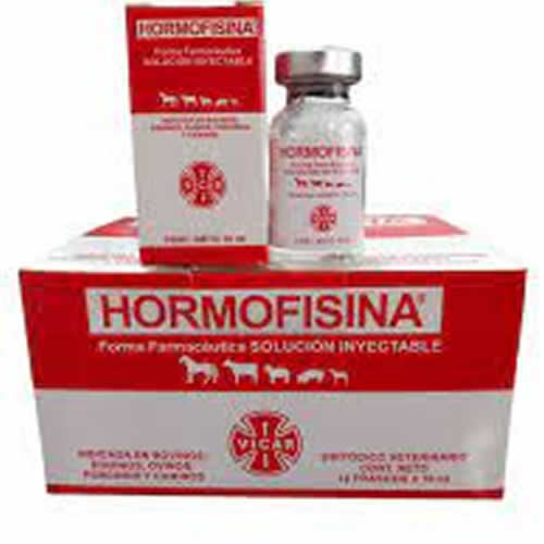 HORMOFISINA X 10 CC