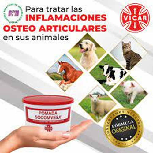 POMADA SOCOMVESA X 300 GR