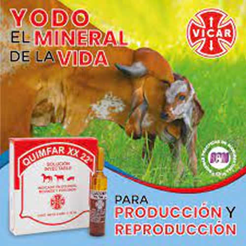 QUIMFAR XX 22 X 10 ML
