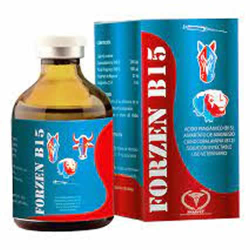 FORZEN B15  X 20 ML