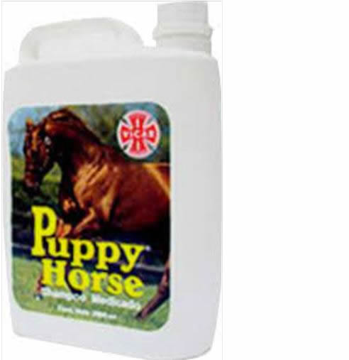CHAMPOO PUPPY HORSE X 2000 CC